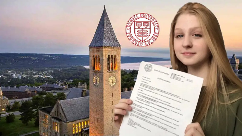 步步为赢，终得哈佛大学offer！